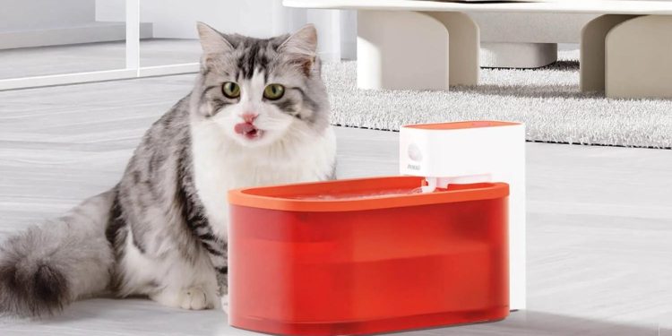 La fontaine à eau pour animaux de compagnie vous permet d’automatiser la distribution d’eau filtrée à vos compagnons à poils.