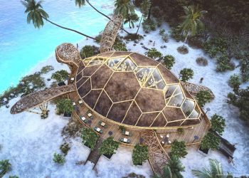 Le restaurant de plage en forme de tortue géante offre aux convives l’exemple même d’une décoration inspirée de la nature et à thème.