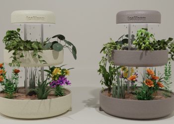 Le concept de pot de jardinage intelligent rend la culture de plantes à l’intérieur moins stressante