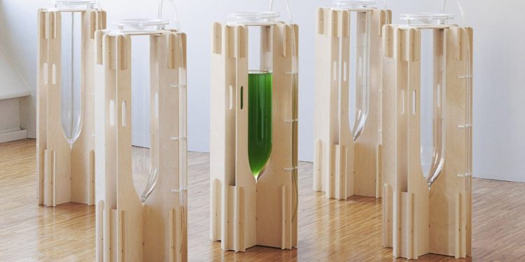 Ce purificateur d’air naturel utilise des algues pour éliminer les produits chimiques nocifs de l’air que nous respirons.