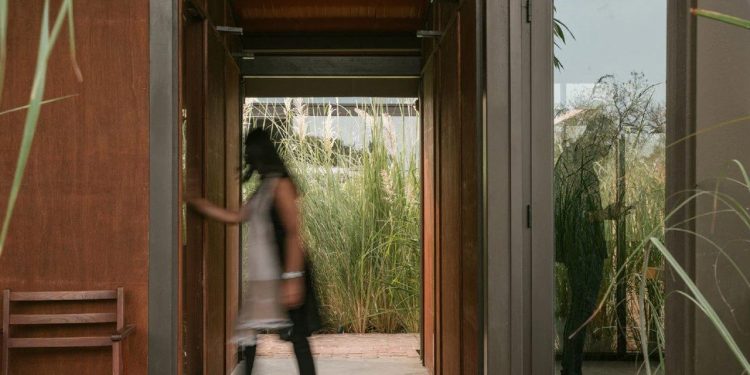 Découvrez Cet Espace de Travail Apaisant et Collaboratif, le Bureau Parfait Entouré par la Nature à Ahmedabad !